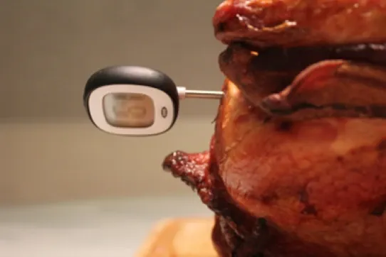 Get Perfect cook with a meat thermometer