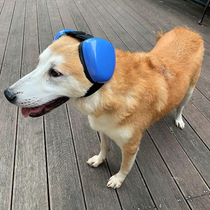 derYEP Dog Earmuffs for Hearing Protection